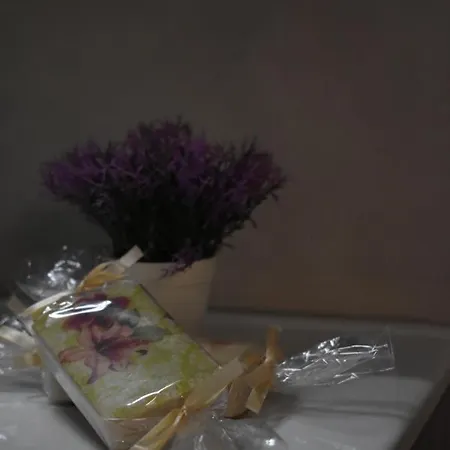 Domenica 2 Apartment *