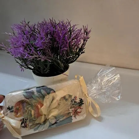 Domenica 2 דירה