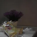 Domenica 2 Apartament *