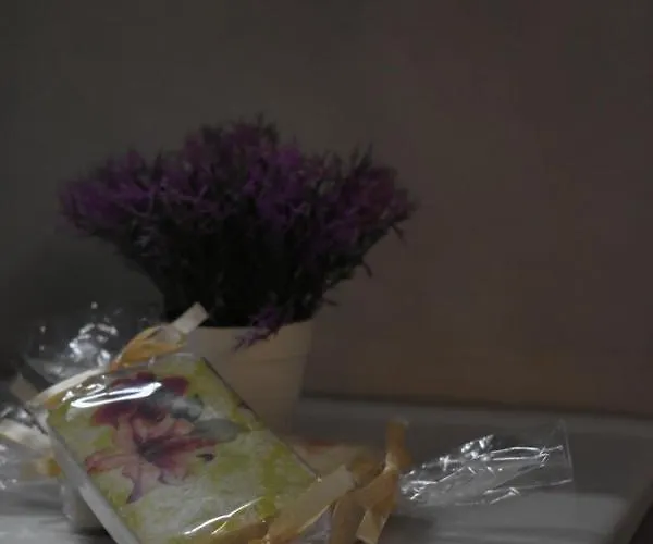 Domenica 2 아파트 *